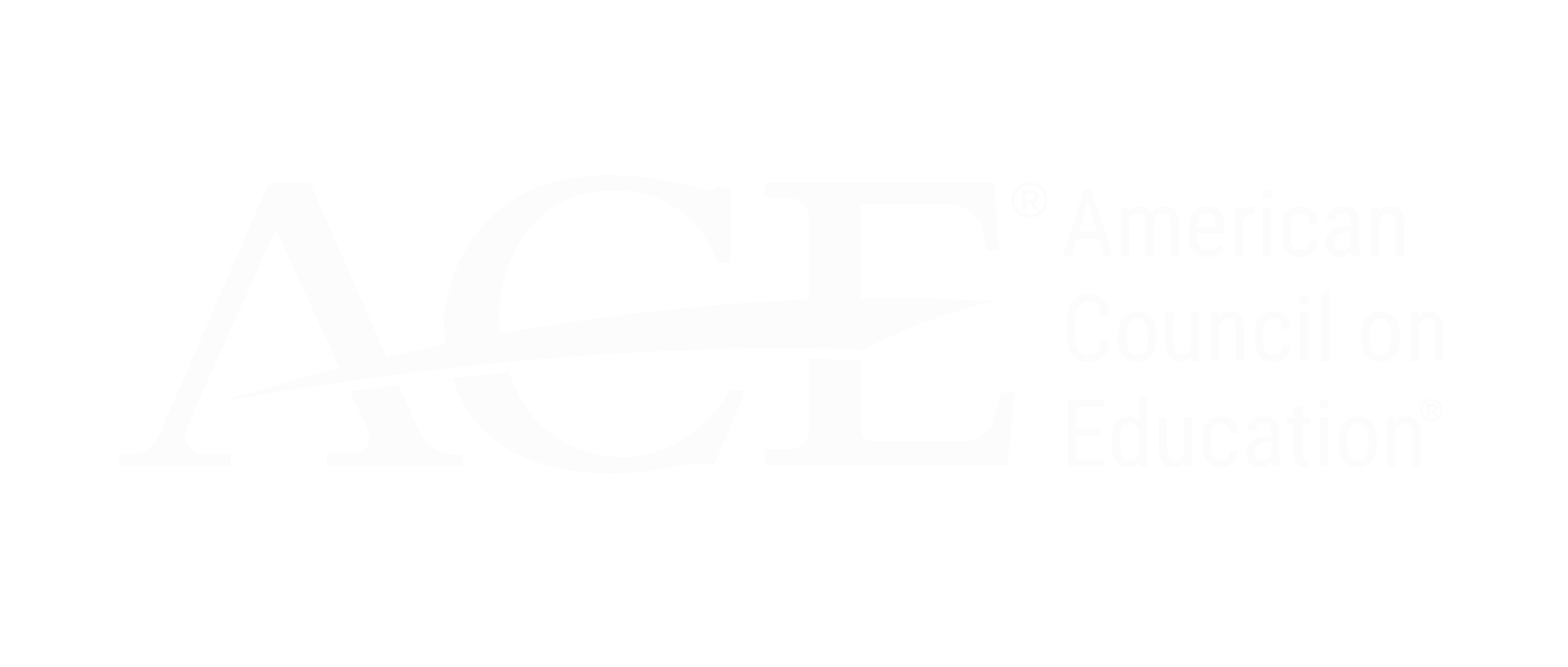 ace logo