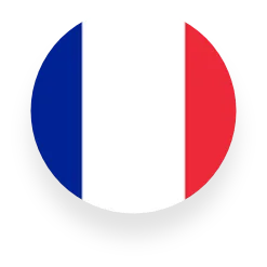 flag of france flag of france