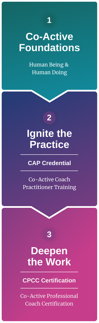 CTI pathway all vertical