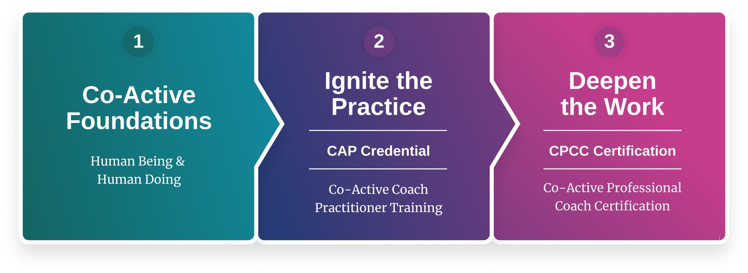 co active pathways all scaled