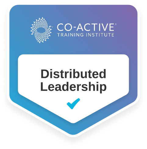 distributed leadership small